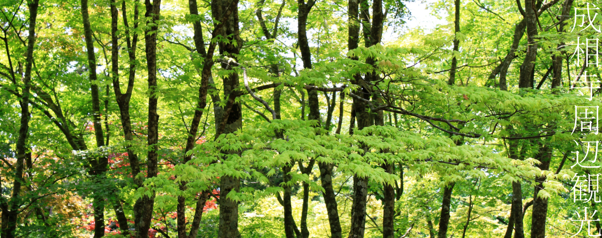 成相山　成相寺